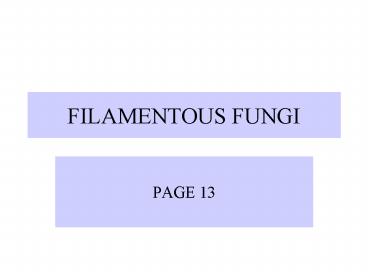 FILAMENTOUS FUNGI