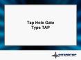 Tap Hole Gate Type TAP PowerPoint PPT Presentation