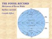 THE FOSSIL RECORD