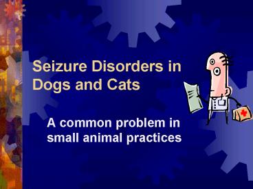 Seizure Disorders in Dogs and Cats