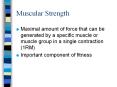 Muscular Strength PowerPoint PPT Presentation