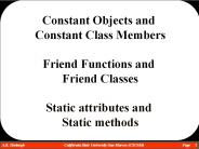 Constant Objects and