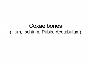 Coxae bones Ilium, Ischium, Pubis, Acetabulum