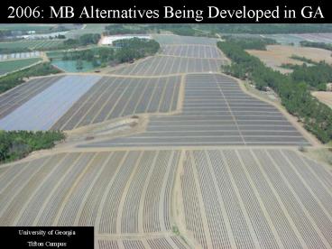 2006: MB Alternatives Being Developed in GA