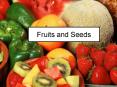 Fruits and Seeds PowerPoint PPT Presentation