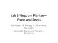 Lab 6 Kingdom Plantae Fruits and Seeds PowerPoint PPT Presentation