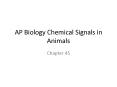 AP Biology Chemical Signals in Animals PowerPoint PPT Presentation