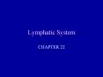 Lymphatic System PowerPoint PPT Presentation