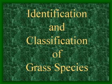 Identification and Classification of Grass Species