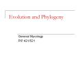Evolution and Phylogeny PowerPoint PPT Presentation