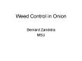 Weed Control in Onion PowerPoint PPT Presentation