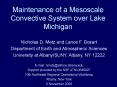 Maintenance of a Mesoscale Convective System over Lake Michigan PowerPoint PPT Presentation