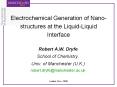Electrochemical%20Generation%20of%20Nano-structures%20at%20the%20Liquid-Liquid%20Interface PowerPoint PPT Presentation