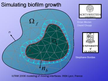 Simulating biofilm growth