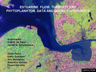 ESTUARINE FLOW, TURBIDITY AND PHYTOPLANKTON, DATA AND MODEL EXPERIMENTS