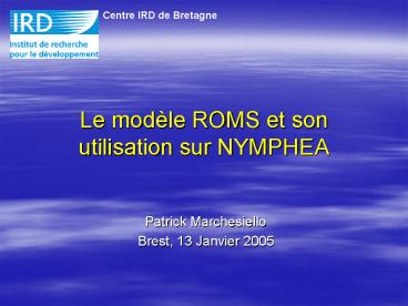 Patrick Marchesiello