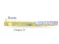 Roots PowerPoint PPT Presentation