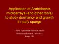 Application of Arabidopsis microarrays and other tools to study dormancy and growth in leafy spurge PowerPoint PPT Presentation