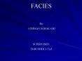 FACIES PowerPoint PPT Presentation