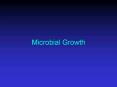 Microbial Growth PowerPoint PPT Presentation
