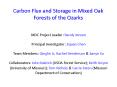 Carbon Flux and Storage in Mixed Oak Forests of the Ozarks PowerPoint PPT Presentation