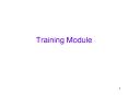 Training Module PowerPoint PPT Presentation