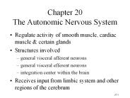 Chapter%2020%20The%20Autonomic%20Nervous%20System