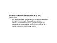 LONGTERM POTENTIATION LTP PowerPoint PPT Presentation