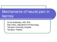 Mechanisms of neural pain in leprosy PowerPoint PPT Presentation