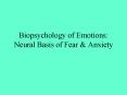 Biopsychology of Emotions: Neural Basis of Fear PowerPoint PPT Presentation