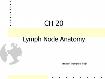 CH 20 Lymph Node Anatomy