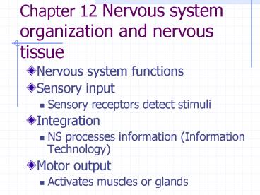 Chapter 12 Nervous system organization and nervous tissue
