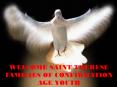 WELCOME SAINT THERESE FAMILIES OF CONFIRMATION AGE YOUTH PowerPoint PPT Presentation