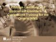Problem Gambling and Concurrent Disorders: A Customized Training for the Ontario WMS PowerPoint PPT Presentation