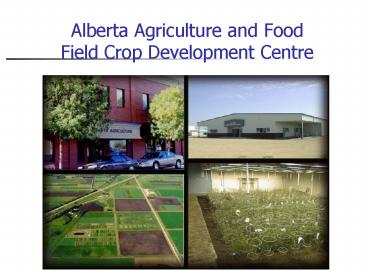 Alberta Agriculture and Food Field Crop Development Centre