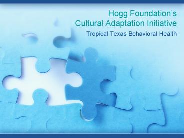Hogg Foundations Cultural Adaptation Initiative