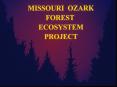 The Missouri Ozark Forest Ecosystem Project is: PowerPoint PPT Presentation