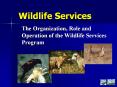 The Organization, Role and Operation of the Wildlife Services Program PowerPoint PPT Presentation