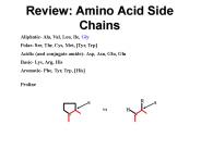 Review: Amino Acid Side Chains