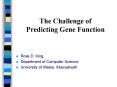 The Challenge of Predicting Gene Function PowerPoint PPT Presentation