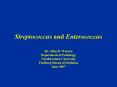 Streptococcus and Enterococcus PowerPoint PPT Presentation