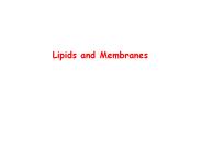 Lipids and Membranes