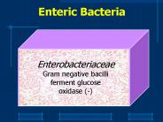 Enteric Bacteria