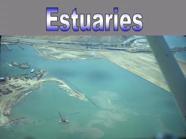 Estuaries