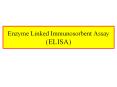 Enzyme%20Linked%20Immunosorbent%20Assay%20(ELISA) PowerPoint PPT Presentation