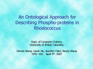 An Ontological Approach for Describing Phospho-proteins in Rhodococcus
