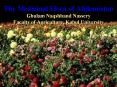 The Medicinal Flora of Afghanistan Ghulam Naqshband Nassery Faculty of Agriculture, Kabul University PowerPoint PPT Presentation