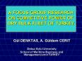 A FOCUS GROUP RESEARCH ON COMPETITIVE POWER OF DRY BULK FLEET OF TURKEY PowerPoint PPT Presentation