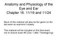 Anatomy and Physiology of the Eye and Ear Chapter 16: 1119 and 1124 PowerPoint PPT Presentation