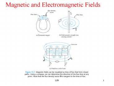 Magnetic and Electromagnetic Fields